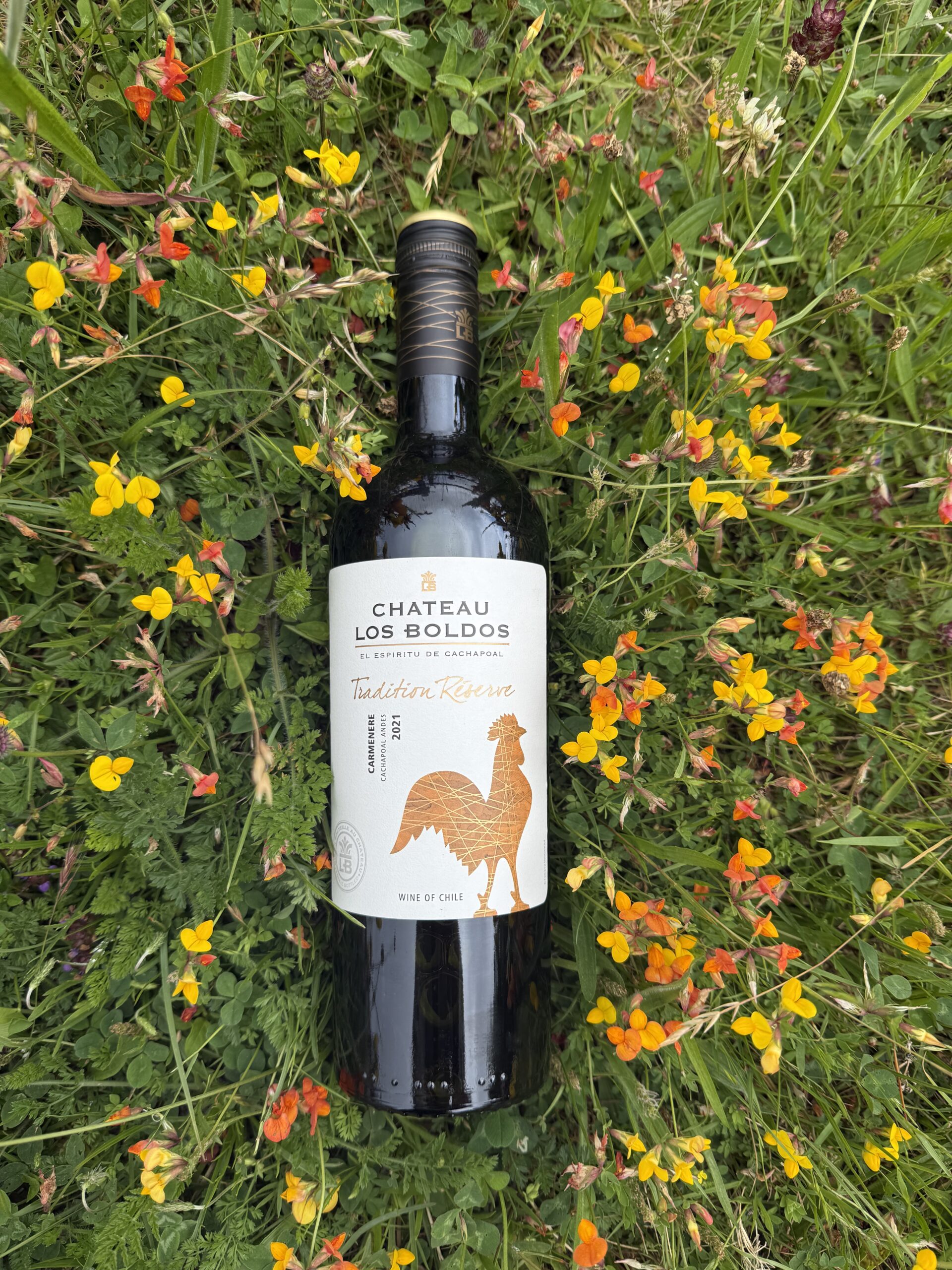 Los Boldos Carmenere Los Boldos Carmenere