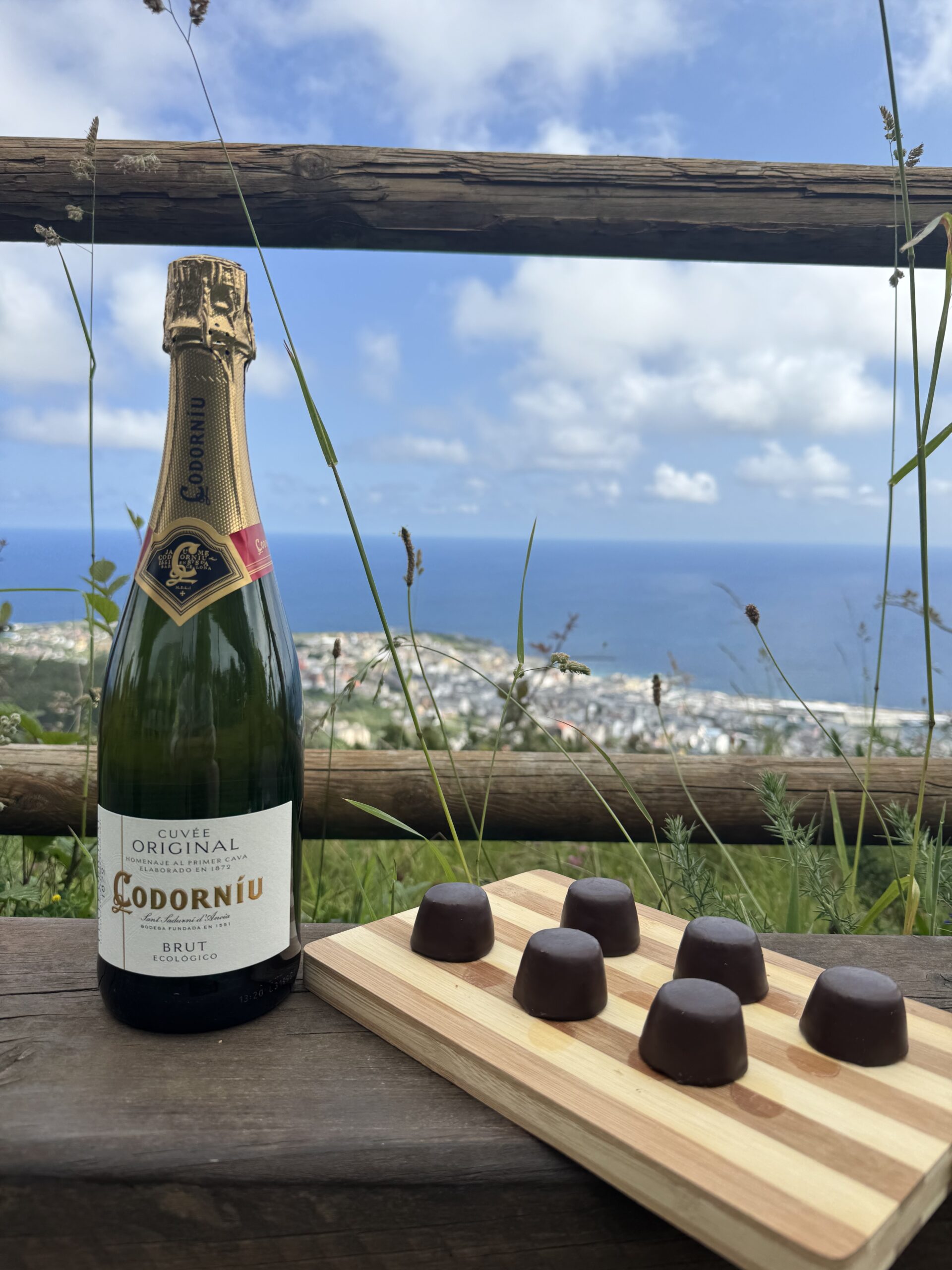 Codorníu Cuvée Original Ecológico Brut Codorníu Cuvée Original Ecológico Brut