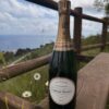 Laurent Perrier Brut