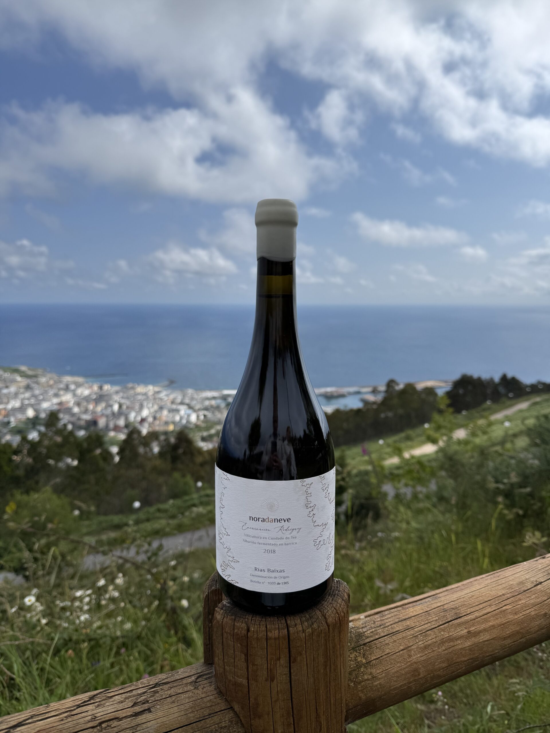Nora da Neve Encarnación Rodríguez 2018 Nora da Neve Encarnación Rodríguez 2018
