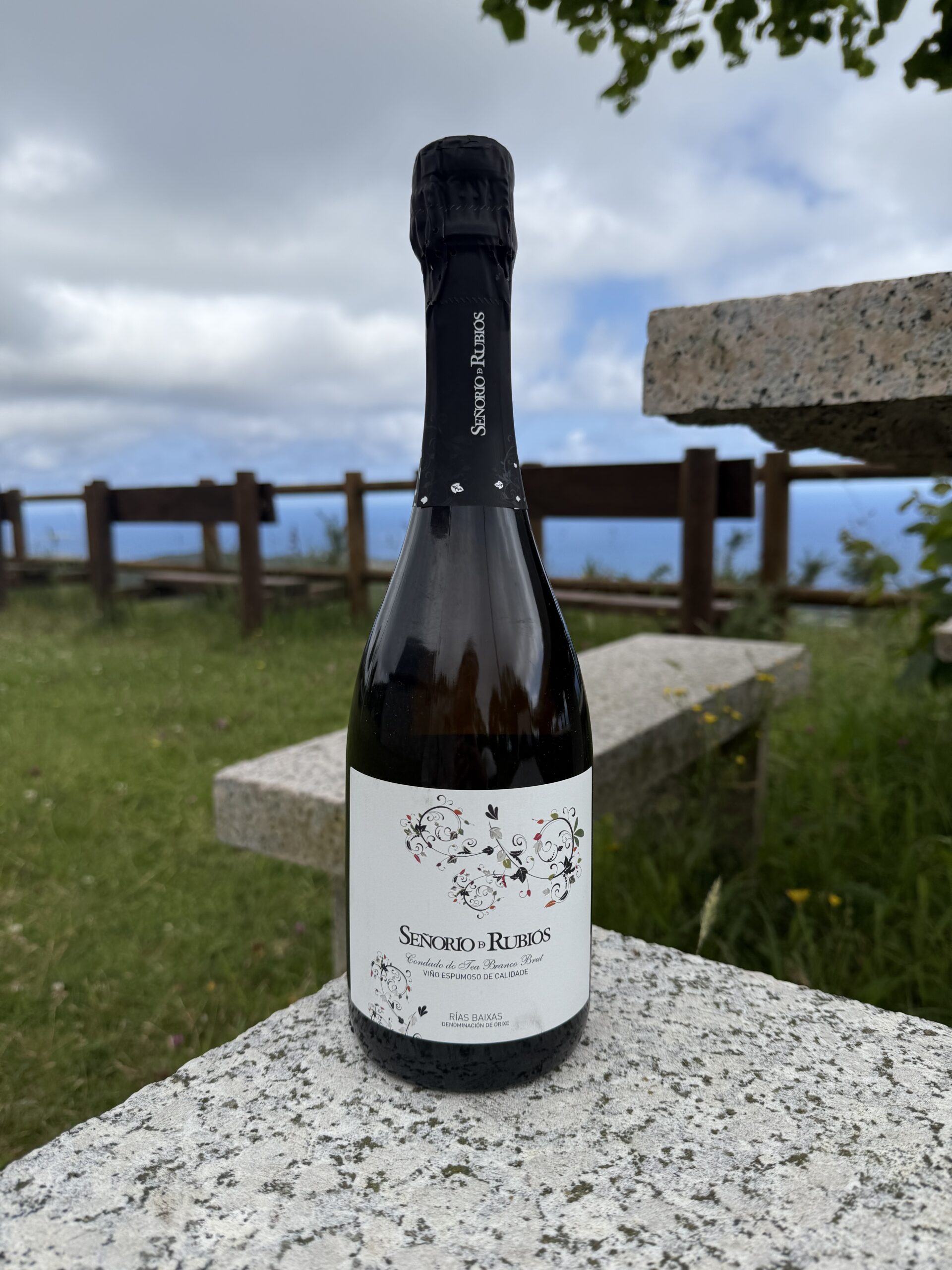 Señorío de Rubiós Condado Blanco Brut Señorío de Rubiós Condado Blanco Brut