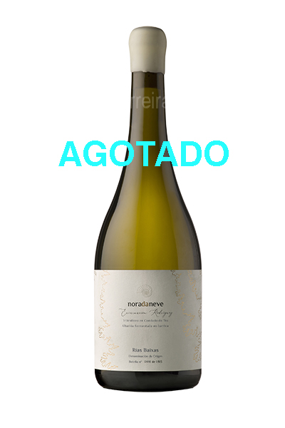 Nora da Neve Encarnación Rodríguez 2018 Nora da Neve Encarnación Rodríguez 2018
