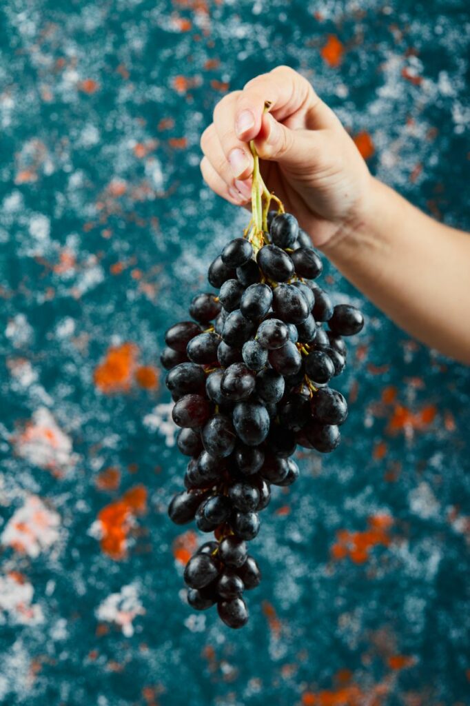 uva graciano
